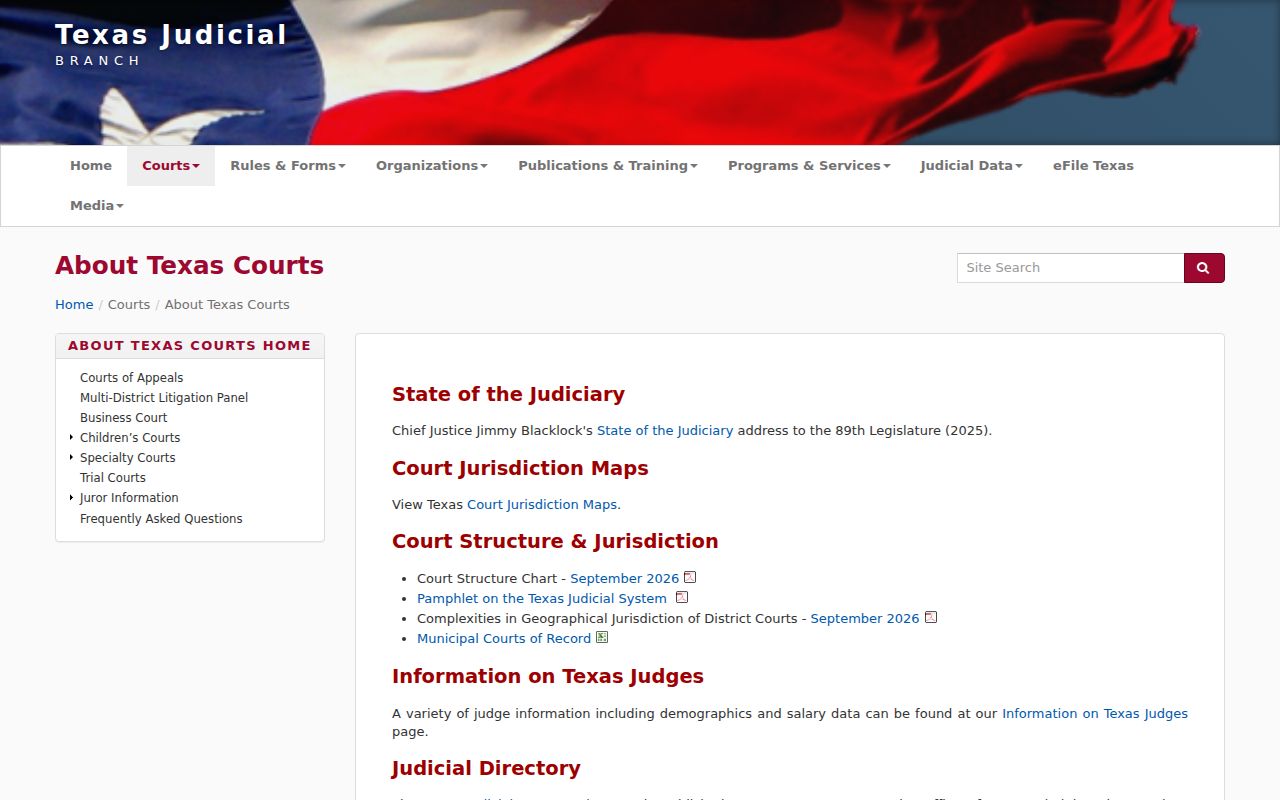 Pecos County criminal court docket and Texas court structure